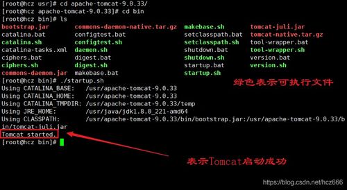 Linux環境下的四種軟件安裝方式及SpringBoot項目在云服務器上的部署指南